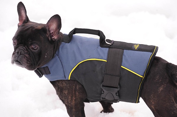 Nylon Tracking Harness for French Bulldog
