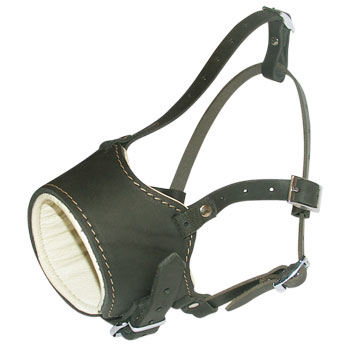 Hund Maulkorb Leder gepolstert