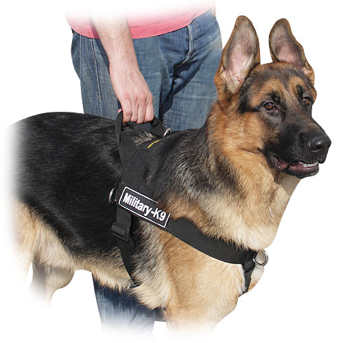 German Shepherd dog nylon  harness DE