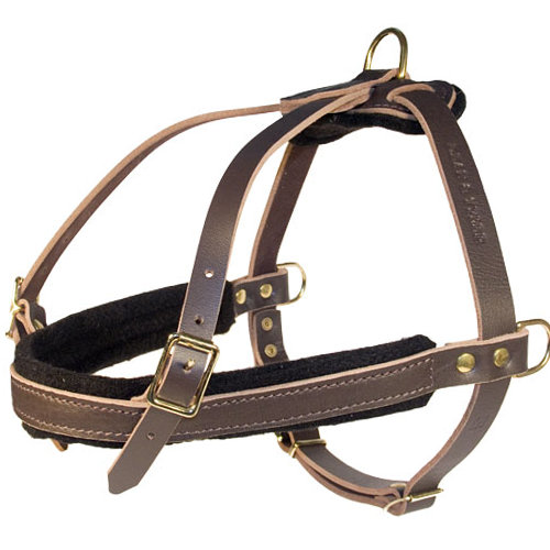 dog harness leather, tracking harness, power harness