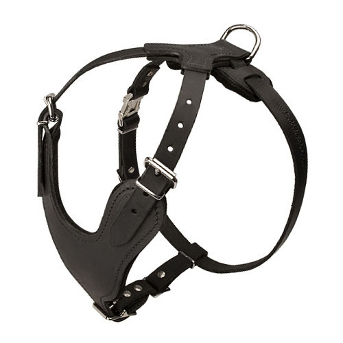 Padded Dog Harness for Sport 