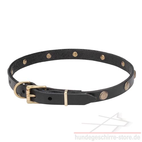 Studded Collar with floral engraving Super Strong