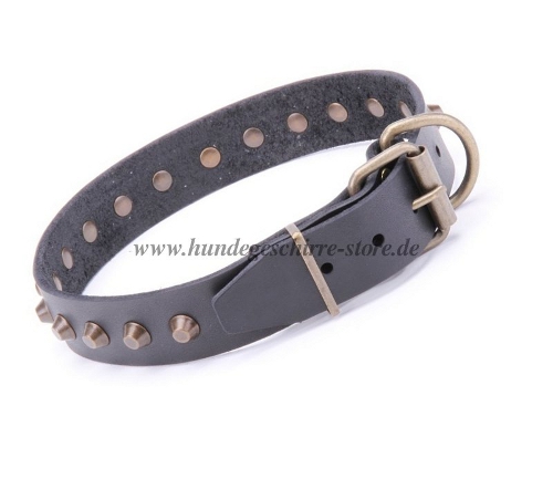 Hundehalsbänder Leder mit Pyramiden Hochwertigkeit
