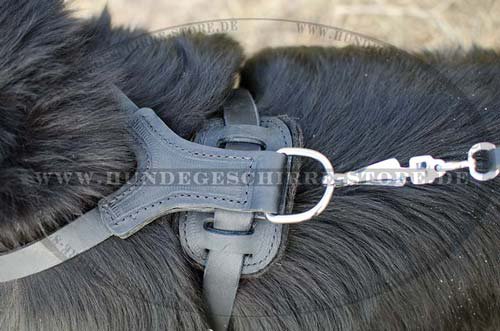 Newfoundland dog harness leather soft