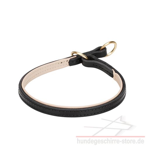 Choke collar made of leather for control and dog training