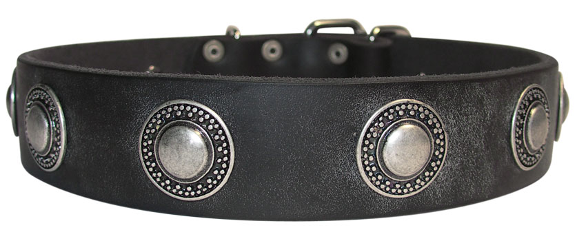 Beautiful Studded Dog Collar 