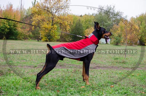 Hundemantel für Dobermann aus Nylon für Winterzeit