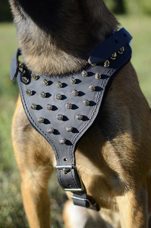 usa
ledergeschirr für malinois hundesport kaufen