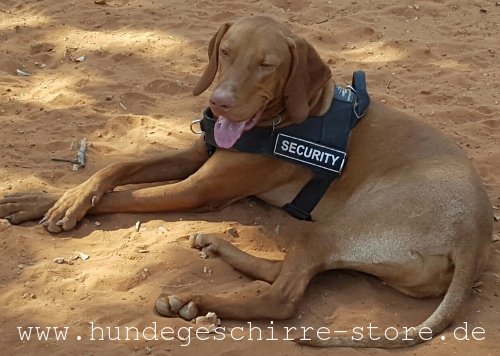 Hundegeschirr aus Nylon für Viszla, praktisch