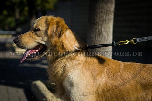Leder Hundehalsband für Golden Retriever Ausbildung und Auslauf