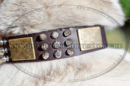 Hundehalsband Exklusiv für West-Sibirische Laika 2023