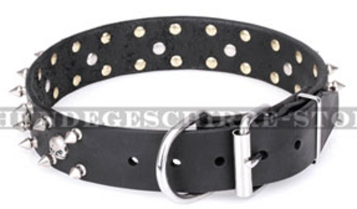 Hundehalsband aus Leder "Jolly Roger's Spikes" FDT Artisan