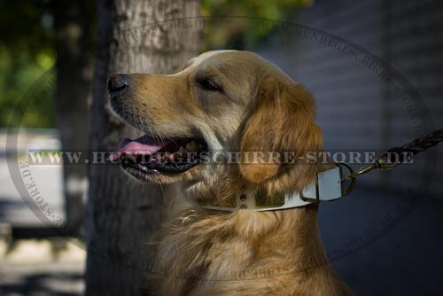 Hundehalsband Leder weiß mit Schmucken für Golden Retriever Hundehalsband Leder weiß mit Schmucken für Golden Retriever