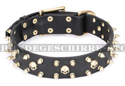Hundehalsband Leder "Rock Star" FDT Artisan mit Messing-Dekor