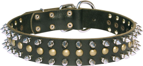 Hundehalsband mit Spikes