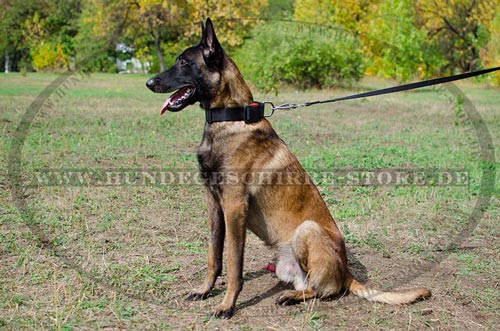 Hunde Nylonhalsband mit Klickverschluß für Malinois Leben