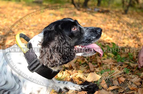 Hundehalsband Nylon mit Handgriff für Cocker Spaniel