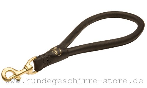 Hundeleine aus Leder kurz, praktisch und bequem