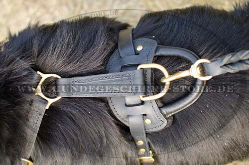 handmade leather dog harness for Newfoundland H10