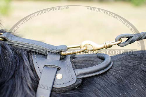 Newfoundland Dog Harness Leather H10