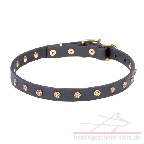 Enges Leder Hundehalsband mit winzigen Schmucken, elegant