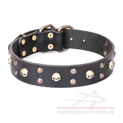 Hundehalsband aus Leder mit bronzeartigen Schmucken, stilvoll