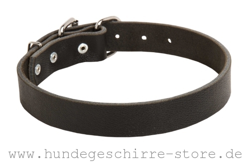 Hundehalsband aus Leder in klassischem Design, solid