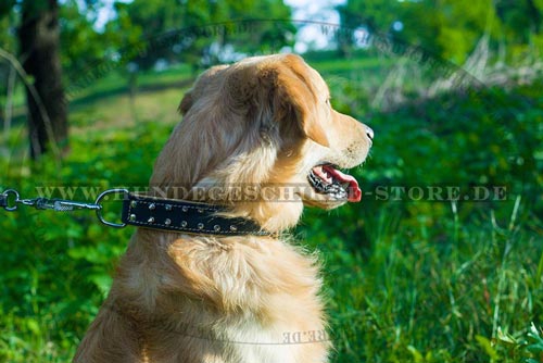 Leder Hundehalsband mit heller Handschuhleder-Polsterung