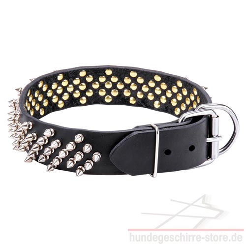 Spikes Hundehalsband extra Breit mit Nickel Beschlägen