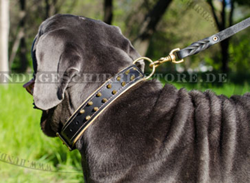 Leder Hundehalsband mit Spikes-Dekor für Mastino Napoletano