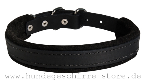 Hundehalsband Leder gepolstert in klassischem Design, eng