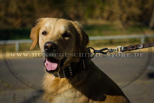 Hundehalsband aus Leder für Golden Retriever, extra breit
