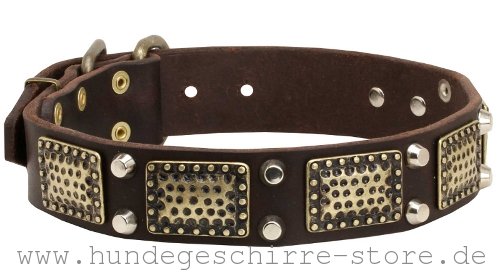 Hundehalsband aus Leder mit massiven Platten und Pyramiden