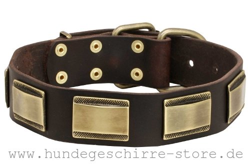 Hundehalsband aus Leder mit einzigartiger Verzierung