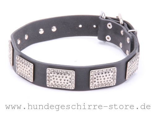 Hundehalsband Leder in stilvollem bequemem Design, prächtig
