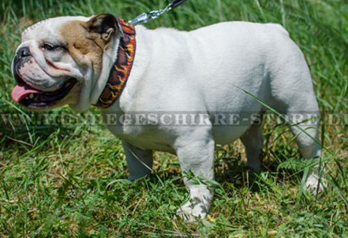 Hundehalsband aus Leder für Englische Bulldogge, Feuer-Bemalung