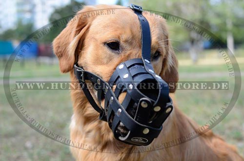 Maulkorb Leder für Golden Retriever, Designer Handarbeit