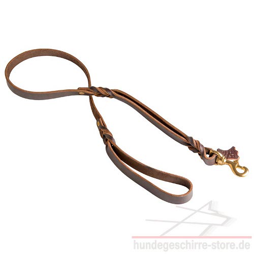 Leather leash with 2 handles Braided and Durable