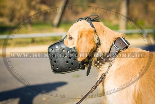 Maulkorb aus Leder für Golden Retriever, super stark und bequem