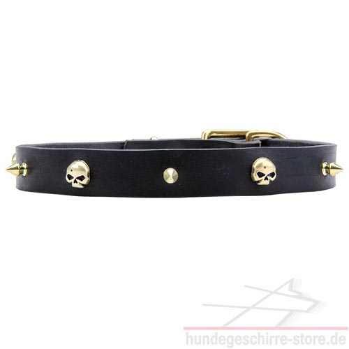 Leather collars crafted with skulls and spikes Design