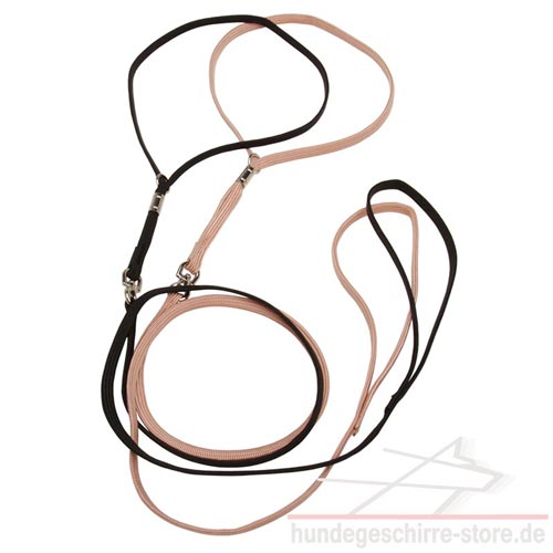 Leine und Halsband Nylon für Hundeausstellung