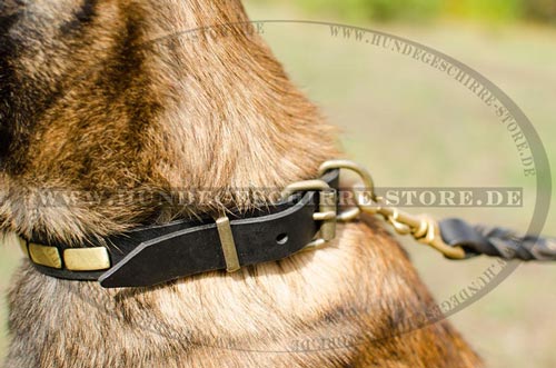 Dog leather collar | Malinois Collar with brass plates 2023