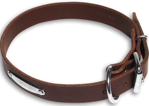 Hundehalsband aus leder mit Stahl vernickelt ID-Tag