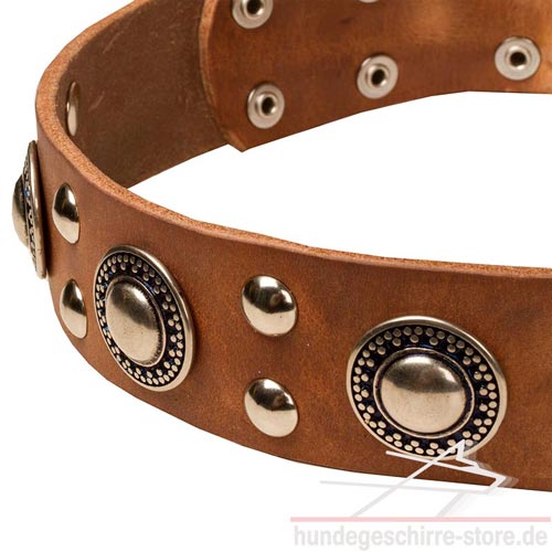 Hundehalsband Leder Breit mit Rock'n'Roll Design