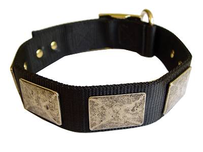 Nylon Dog Collar, Vintage Plates