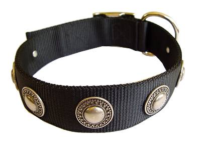 nylon dog collar