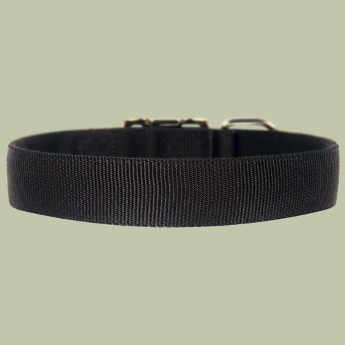 nylon dog collar