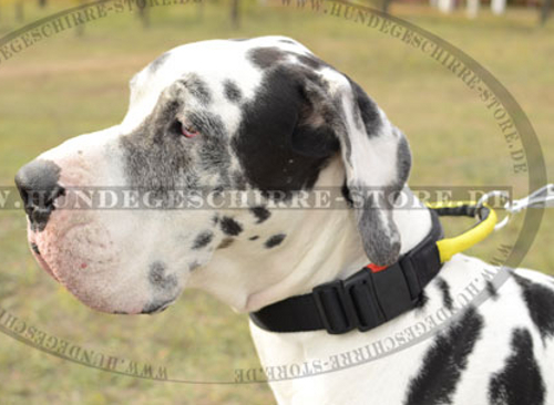 Nylon Hundehalsband für Deutsche Dogge, effektive Hundekontroll