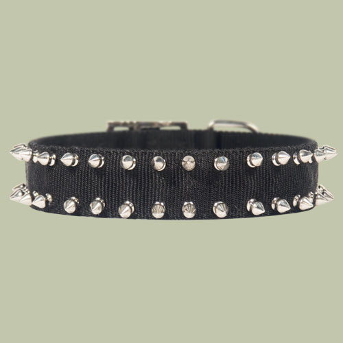 Spiked  Nylon dog collar 