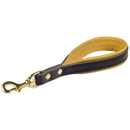 Leather Leash with a Handle